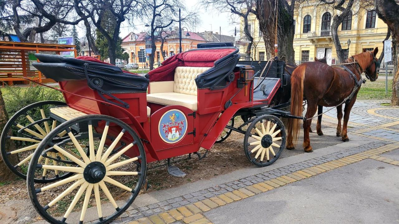 Апарт готель Restoran Orijent 5 Сомбор Екстер'єр фото
